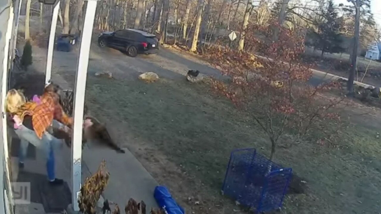 The wild raccoon attack was caught on film. Picture: Facebook