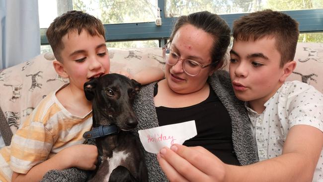 Georgi Anderson and kids Charles, 11, and Arthur 8. with Artie; the family is helping the three-legged pointer tick items off his bucket list. Picture: Mark Wilson