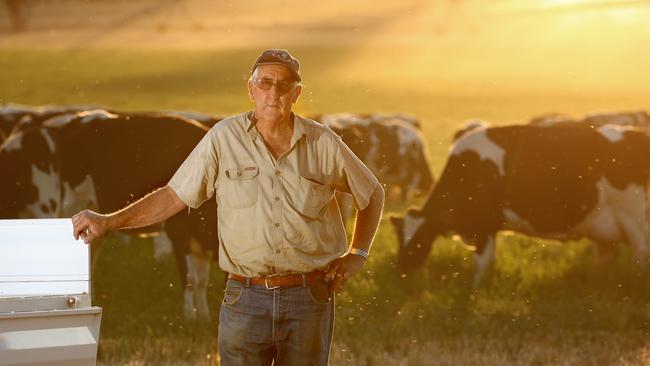 Sid Clarke on his dairy farm at Ladysmith near Wagga Wagga where he runs approx. 160 head of cattle. Picture: Toby Zerna