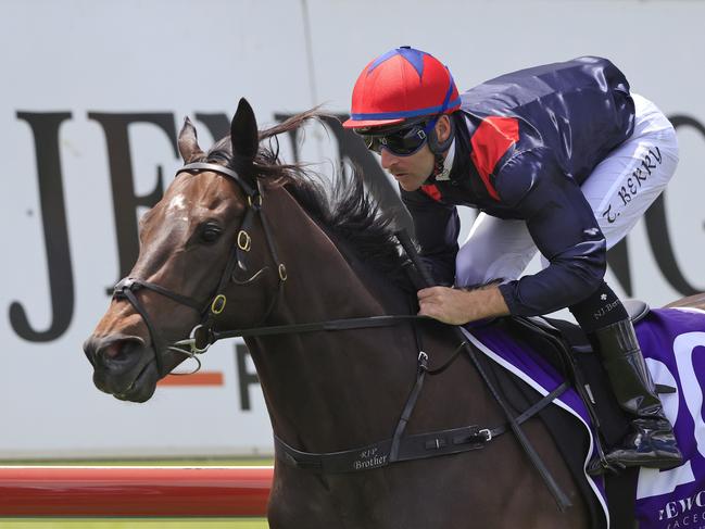 NEWCASTLE, AUSTRALIA - NOVEMBER 13: Tommy Berry on I Am Superman in an exhibition gallop during Sydney Racing at Newcastle Racecourse on November 13, 2021 in Newcastle, Australia. (Photo by Mark Evans/Getty Images)