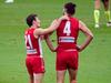Swans break ‘taboo’ in vulnerable footage