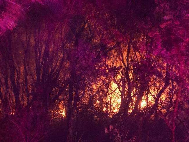 Firefighters are waiting until the fire moves out of the bush towards the roadways. Picture: Todd Wildman, NSW Rural Fire Service Facebook page