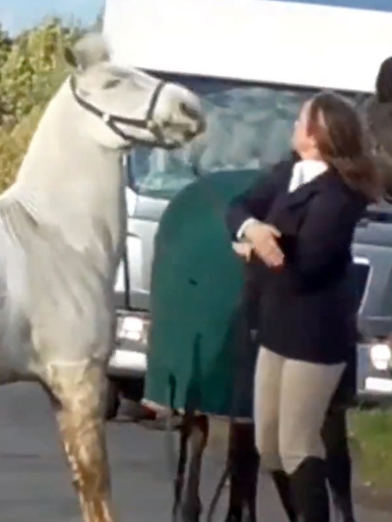 Mrs Moulds was seen hitting the horse. Picture: Herfordshire Hunt Saboteurs