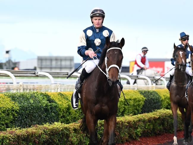 Chris Waller-trained filly Scarlet Oak scores the Group 2 The Roses, with James McDonald in the saddle, to zoom into favouritism for the Group 1 Queensland Oaks. Picture: Grant Peters, Trackside Photography.