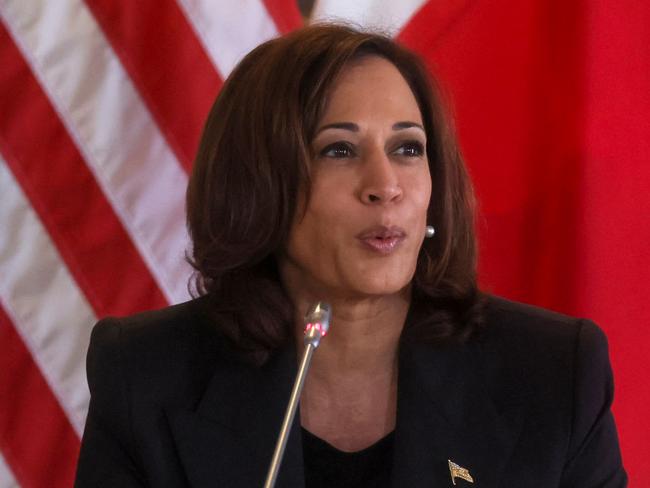 US Vice President Kamala Harris hosts a roundtable discussion with Japanese business executives from companies in the semiconductor industry. Picture: AFP