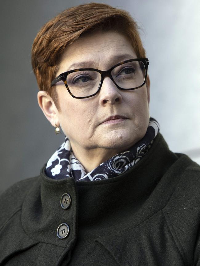 Foreign Minister Marise Payne. Picture: NCA NewsWire / Gary Ramage