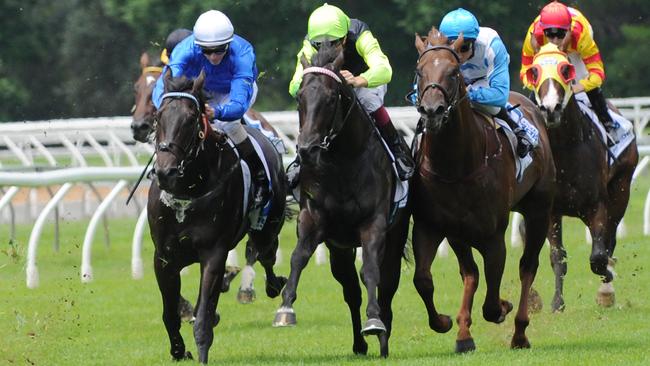 Mogador was beaten by stablemate Exosphere at the Skyline Stakes.