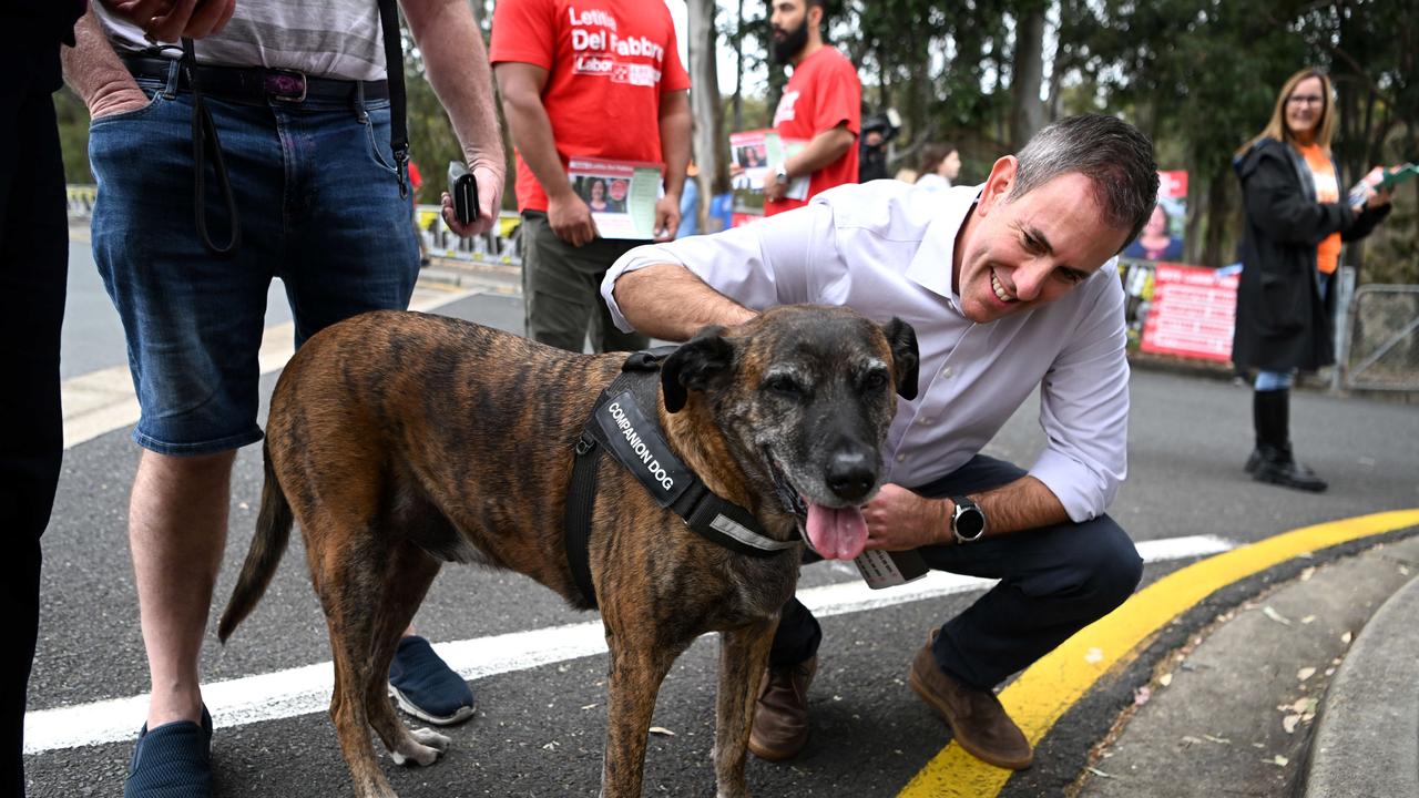 Treasurer Jim Chalmers at the Fadden by-election on Saturday, ahead of his trip to India on Sunday. Picture: Dan Peled / NCA Newswire