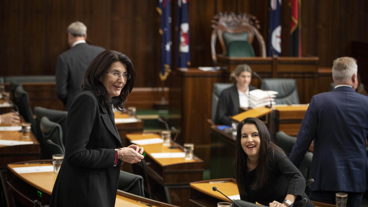 Jacquie Petrusma MP and Jane Howlett MP. Picture: Chris Kidd