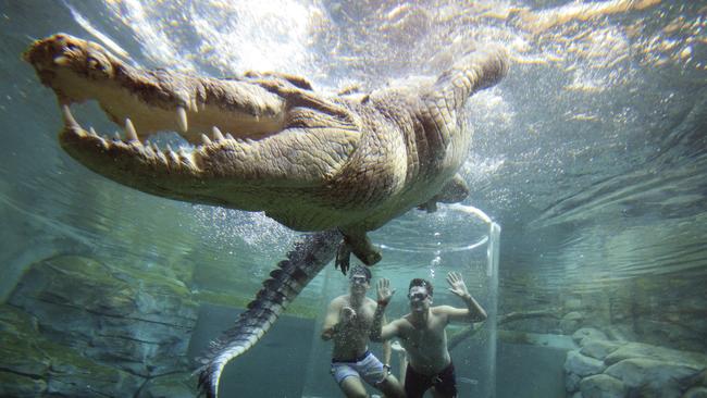 Tourists view crocodiles from the safety of a tube at Darwin’s Crocosaurus theme park.