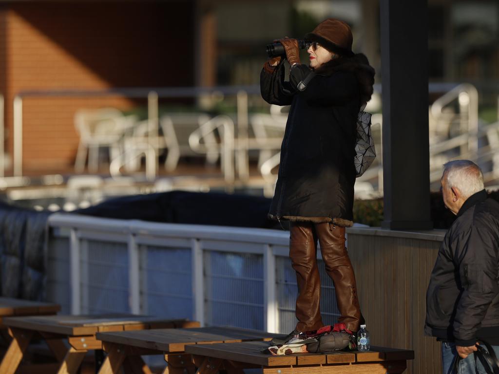 Trainer Gai Waterhouse stands on a picnic table to watch Wanaruah work at Caulfield on Tuesday. Picture: Michael Klein