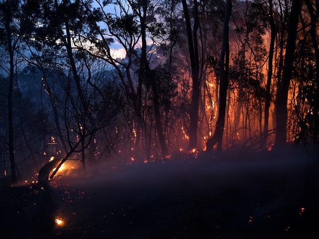 A bushfire burns close to homes on Railway Parade in Woodford NSW, Friday, November 8, 2019. Picture: AAP Image/Dan Himbrechts