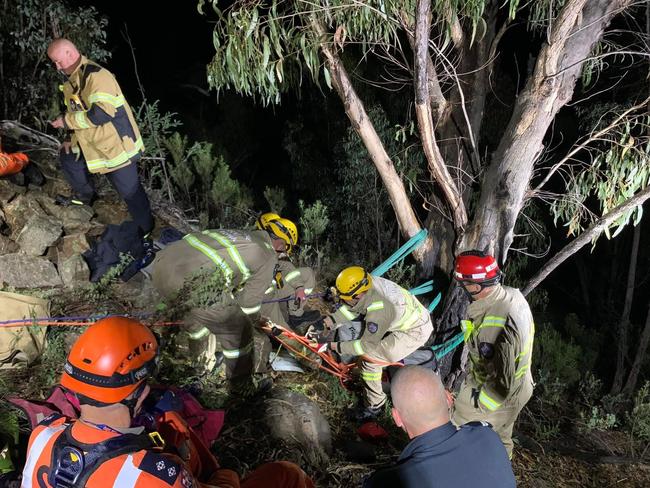 Roxy the beagle was rescued from a mine shaft near Talbotville in Victoria’s high country on Wednesday night. Picture: Facebook / Chelsea Gibson