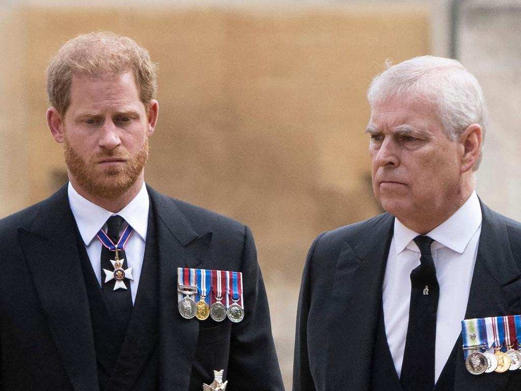 Why are Prince Harry and Prince Andrew Counsellors of State? Picture: David Rose/AFP