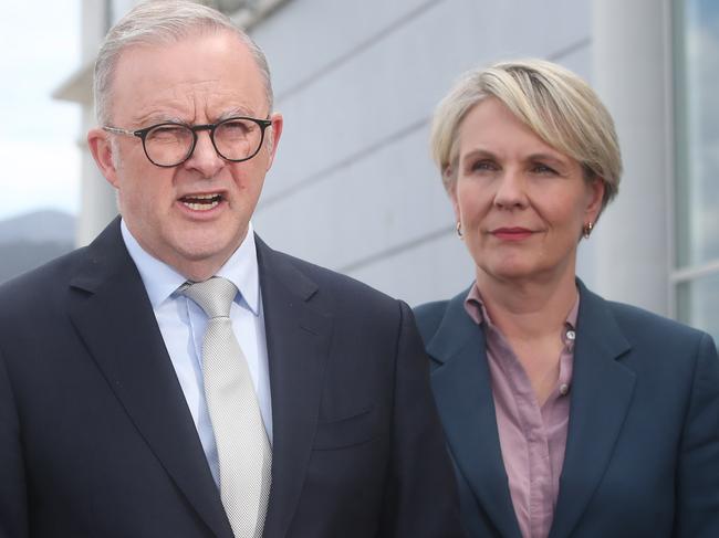 Prime Minister Anthony Albanese in Hobart in relation to $188million in funding to upgrade the wharf.  Picture: Nikki Davis-Jones