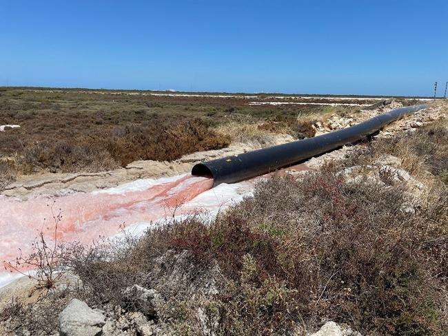 Pumping to remove hypersaline water to reduce the impact to mangroves, January 2021, Supplied. Department for Energy and Mining