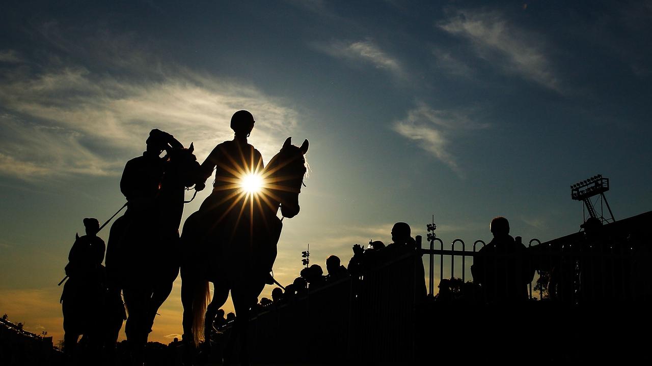 SYDNEY, AUSTRALIA - JULY 25: James McDonald, riding 'Miniature' is lead back to return to scale after winning race 7, Jimmy Wood Memorial Handicap during Sydney Racing at Canterbury racecourse on July 25, 2015 in Sydney, Australia. (Photo by Brendon Thorne/Getty Images)