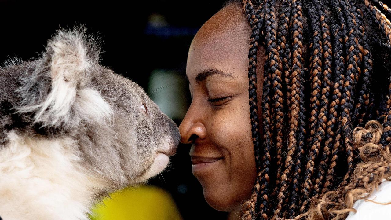 American tennis star Coco Gauff shares a moment with a koala at an Australian Open event in Melbourne. Picture: Fiona Hamilton/Tennis Australia/AFP