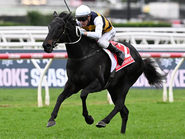 Blake Shinn lands a demolition job to win the Group 1 Queensland Derby on Warmonger at Eagle Farm. Picture: Grant Peters - Trackside Photography