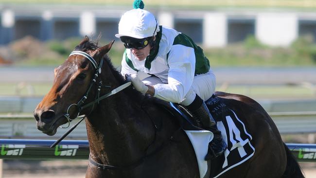 Rebel Miss looks good value at Rosehill Gardens on Saturday. Picture: Trackside Photography.