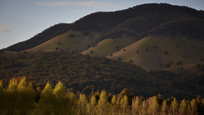 Mudgee. Photo:Nick Cubbin.