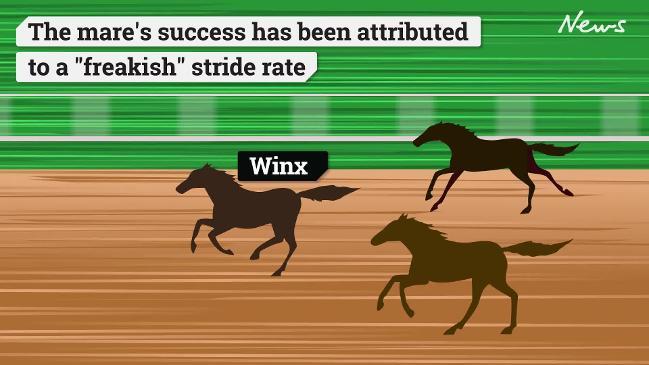 Why Winx isn't like other horses