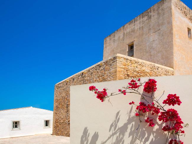 Magnificent Bougainvillea in full bloom surrounds the entrance into a South Western style home.