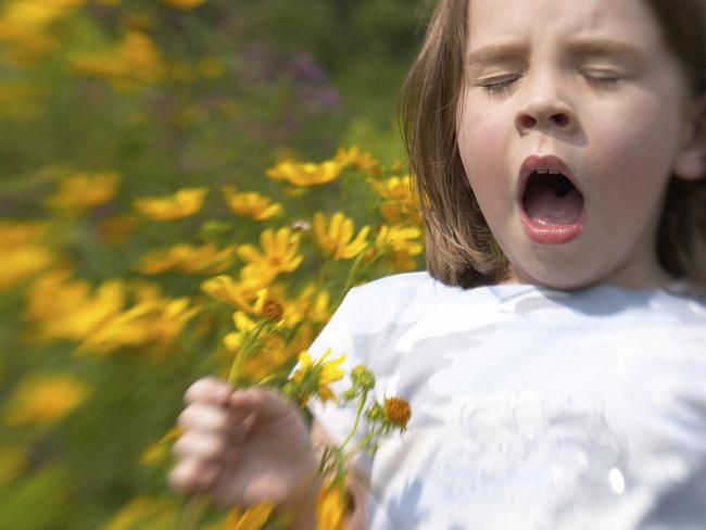 Hayfever: Girl sneezinging field of flowers. Picture: istock