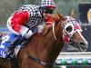 Jockey Michelle Payne onboard Akzar can't real in Vlad Duric onboard Tristrams Sun and ended up finishing fourth in the Kyneton Cup , Melbourne. 4th November 2015. Picture: Colleen Petch.