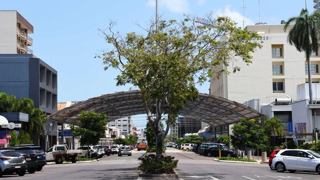 Shade structure on Cavanagh Street update, a year vines were planted.