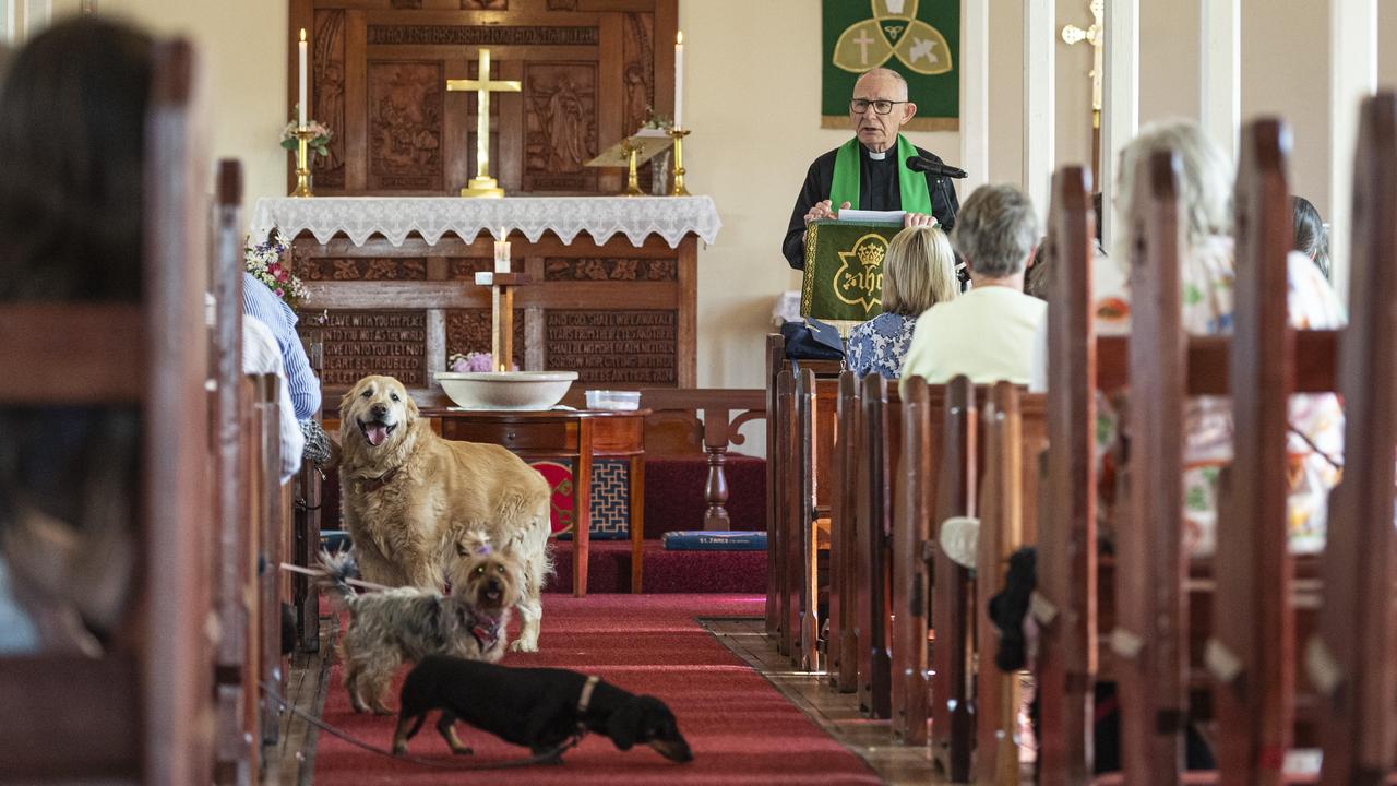 Reverend Graham Warren leads the Blessing of the Pets service at All Saints Anglican Church, Saturday, October 12, 2024. Picture: Kevin Farmer