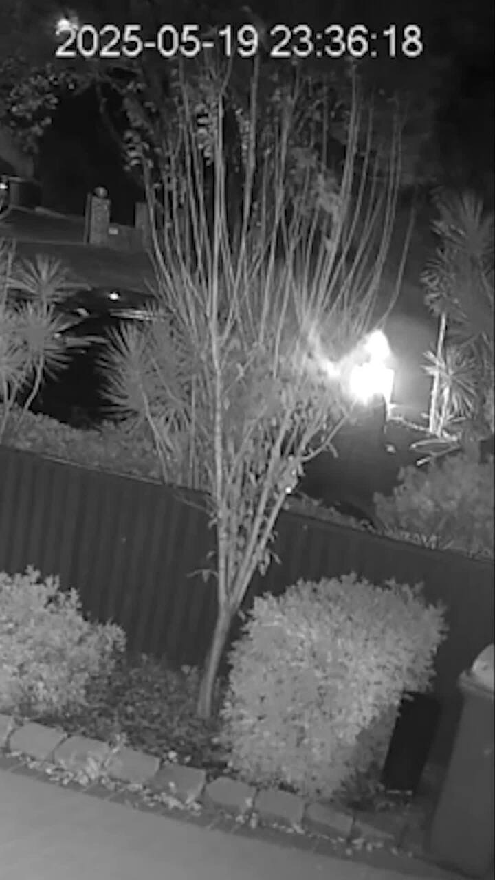 CCTV shows moment man shot dead in Condell Park
