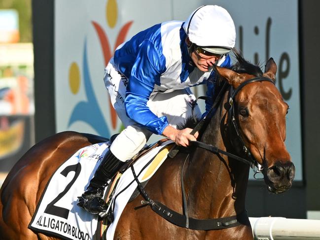 MELBOURNE, AUSTRALIA - SEPTEMBER 23: Damien Oliver riding Alligator Blood  winning Race 9, the Live Life Foundation Underwood Stakes, during Melbourne Racing at Caulfield Racecourse on September 23, 2023 in Melbourne, Australia. (Photo by Vince Caligiuri/Getty Images)