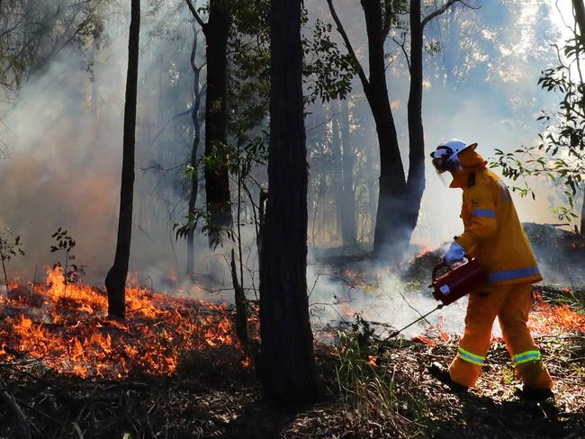 Fire to burn for days in Gold Coast bushland