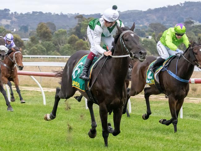 Jimmy Manolo ridden by Fred Kersley wins the Ararat Concrete Handicap at Ararat Racecourse on April 26, 2024 in Ararat, Australia. (Photo by Jay Town/Racing Photos via Getty Images)