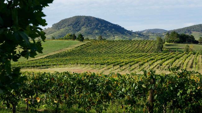 Worth protecting: the Land and Environment Court ruled the “visually sensitive’’ rural approach to Mudgee should be protected. Picture by Max Mason-Hubers