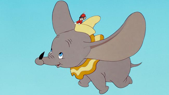 Dumbo would be able to fly higher than the cis-gendered girls.