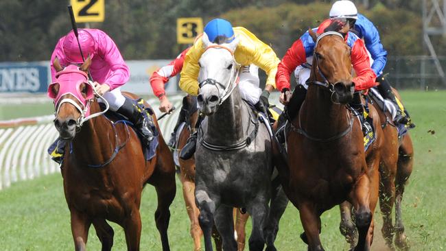 Metallic Crown, left, won first-up last campaign.