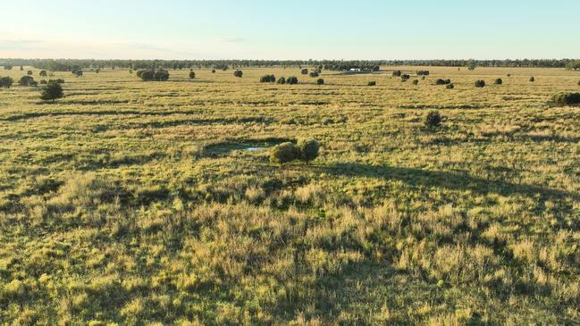 Killaloo (pictured), has 1447ha of brigalow belah scrub country, with 204ha of narrow-leaved ironbark, with soils comprising a productive mix of predominantly deep brown and grey clay scrub soils and small areas of lighter yellow duplex loams.
