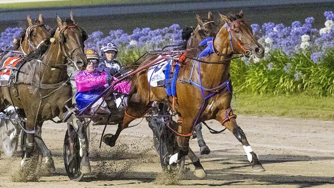 Bulletproof Boy, pictured winning the Group 2 Ballarat Pacing Cup in January, is headed towards the Brisbane Inter Dominion. Picture: Stuart McCormick