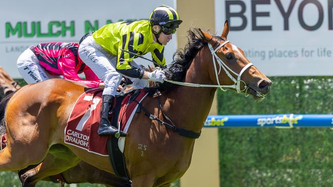 Dobbinair made it back-to-back wins at Murray Bridge on Saturday. Picture: Makoto Kaneko