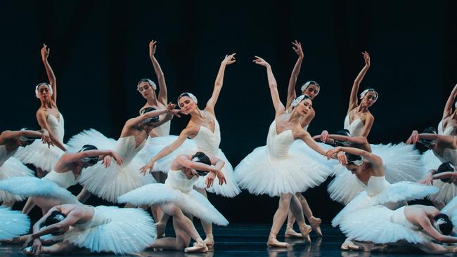 Swan Lake. Picture: Kate Longley