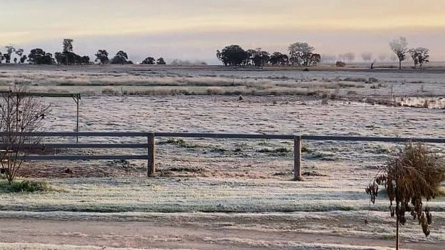 A bitterly cold morning south of Warwick. Picture: Tanya Roche