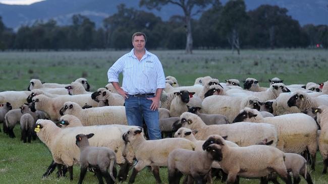 Tom Bull on his farm at Holbrook in NSW. Picture: Yuri Kouzmin.