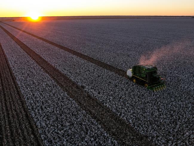 Sundown Pastoral Co's Keytah cotton farm. Photo: supplied