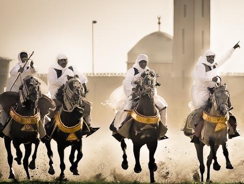 Horses stolen from the Al Shaab Stud in Libya.