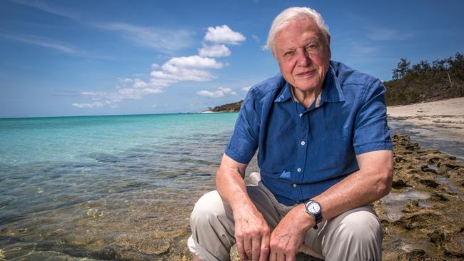 Sir David Attenborough returning to do a documentary on the Great Barrier Reef - 60 years after his first visit. Picture: Tourism Australia