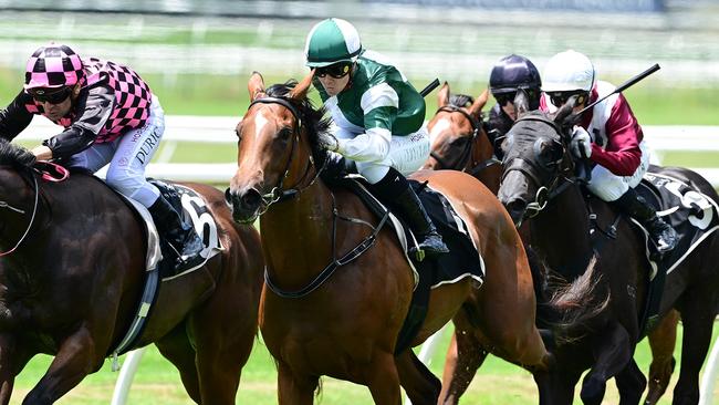 Trainer Kelly Schweida has high hopes for his unbeaten filly Sunrays at Doomben on Saturday. Picture: Grant Peters/Trackside Photography