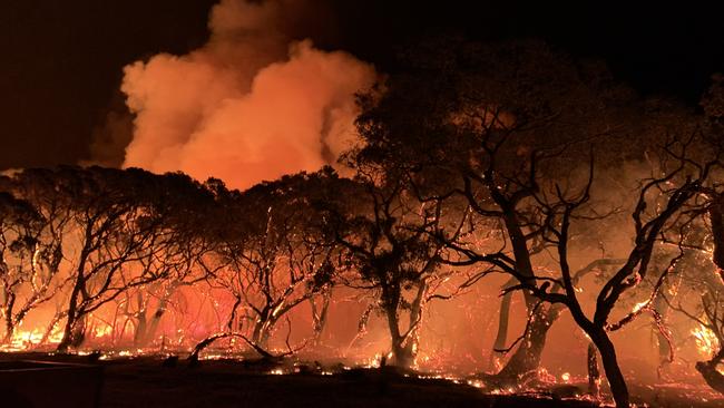 Images from the property of Danielle and Sam Short, who lost their home in the Kangaroo Island bushfires. Pictures: Danielle Short