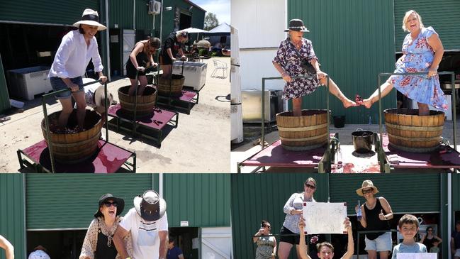 Kingsley Grove Estate's 3rd Annual Grape Stomp. Photo/Holly Cormack.